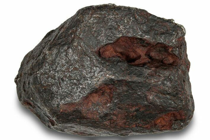 Canyon Diablo Iron Meteorite ( g) - Arizona #249934